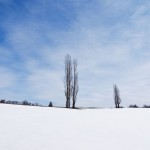 大雪注意！日本全国で寒気が襲来【雪画像あり】