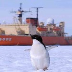 【砕氷艦しらせ】女性乗員10人を乗せ南極へ向け出港！