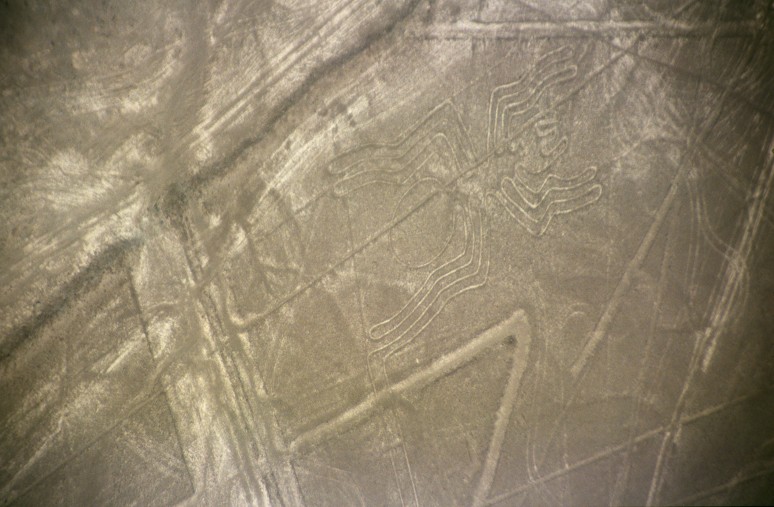Nazca-lineas-arana-c01