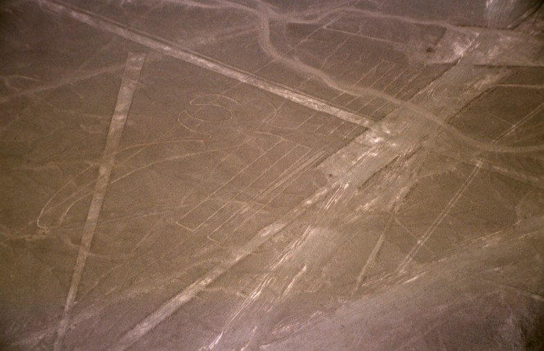 Nazca-lineas-pelicano-c01