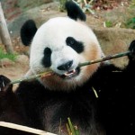 ゴールデンウィーク穴場スポットまとめ 入場料無料も