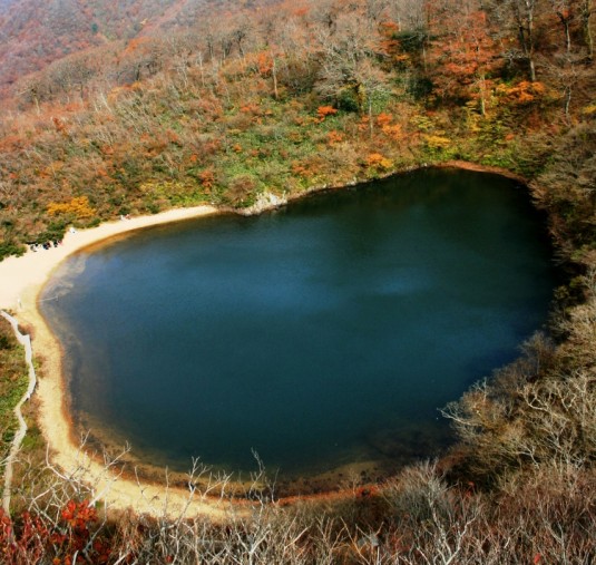 Pond_Yasyagaike_2008-11-6